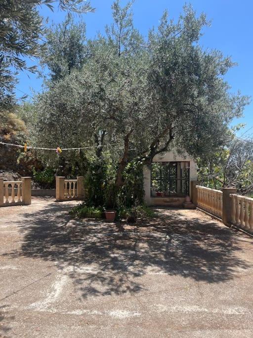 Domek alpejski Surrounded By Centenary Olive Trees Olías