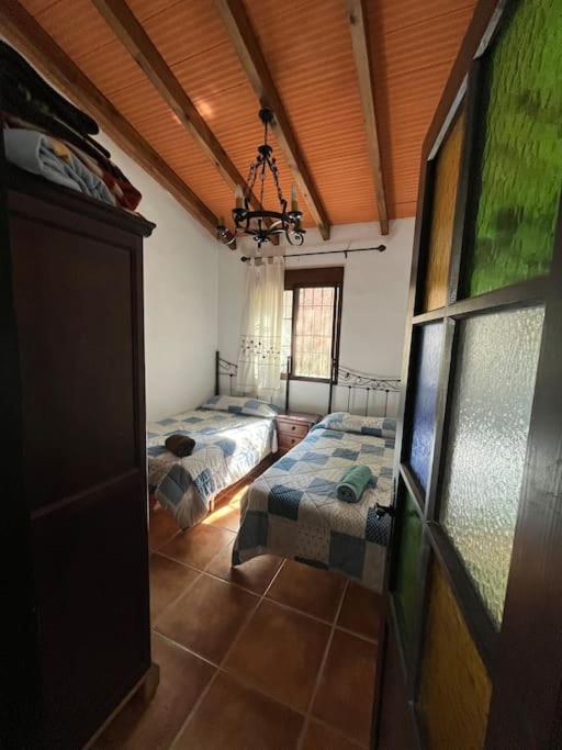 Chalet Surrounded By Centenary Olive Trees