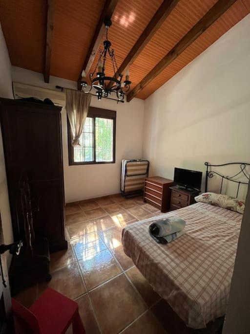 Surrounded By Centenary Olive Trees Chalet