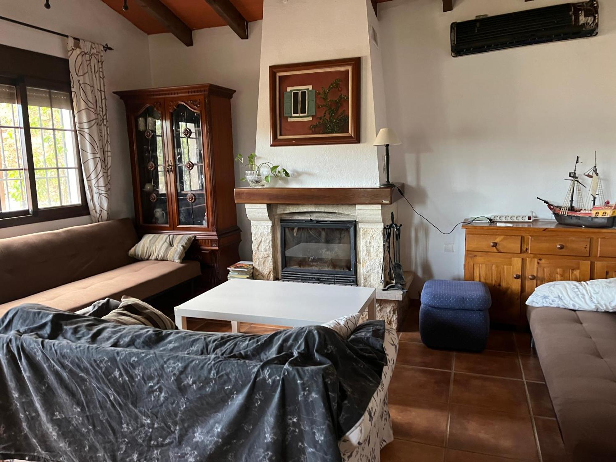 Surrounded By Centenary Olive Trees * Olias